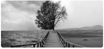 Transforming our Outer Environment